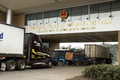 Ảnh minh họa. (Nguồn: TTXVN)