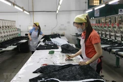 Ảnh minh họa. (Nguồn: TTXVN)