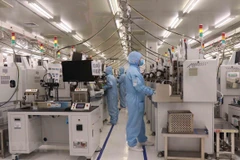 Ảnh minh họa. (Nguồn: TTXVN)