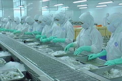 Ảnh minh họa. (Nguồn: PV/Vietnam+)