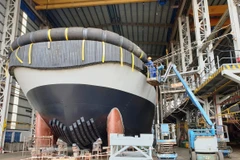 Ảnh minh họa. (Nguồn: Vietnam+)