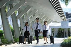 Kiểm toán là một nghề nghiệp mang tính chuyên môn sâu và yêu cầu cao về đạo đức nghề nghiệp, văn hóa giao tiếp ứng xử. (Ảnh: Vietnam+)