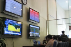 Ảnh minh họa. (Nguồn: PV/Vietnam+)