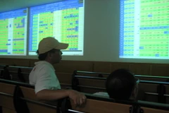 Ảnh minh họa. (Nguồn: PV/Vietnam+)