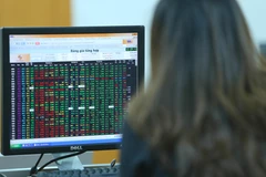 Ảnh minh họa. (Nguồn: PV/Vietnam+)