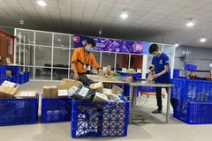 Lazada hỗ trợ 45.000 doanh nghiệp SME kinh doanh trực tuyến, từ tháng 5. (Ảnh: CTV/Vietnam+)