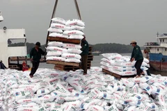 Đáp ứng đủ phân đạm cho nhu cầu vụ Đông Xuân