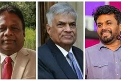 (Từ trái sang): Chân dung các ứng cử viên Tổng thống Sri Lanka Dullas Alahapperuma, Ranil Wickremesinghe và Anura Kumara Dissanayake. (Ảnh: Times of India/TTXVN)