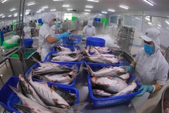 Một dây chuyền chế biến cá tra xuất khẩu. (Ảnh: Vũ Sinh/TTXVN)