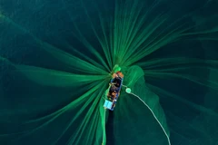 Ngư dân thả lưới vây cá cơm từ sáng sớm nhìn từ trên cao những tấm lưới vây tạo hình trông rất đẹp mắt. (Ảnh: TTXVN phát)