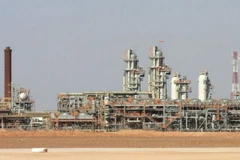 Một nhà máy khí đốt nằm về phía Nam của thủ đô Algiers. (Nguồn: AP)