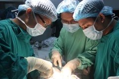 (Ảnh minh họa: Thanh Thương/TTXVN)