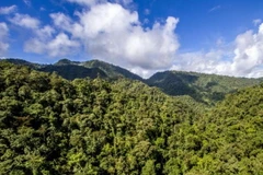 Ảnh minh họa. (Nguồn: iucn.org)