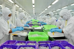 Dây chuyền chế biến sản phẩm tôm xuất khẩu tại nhà máy. (Ảnh: An Hiếu/TTXVN)