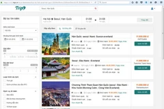 (Ảnh chụp màn hình)