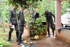 Binh sỹ Brazil được huy động tham gia chiến dịch diệt muỗi Aedes aegypti tại Brazlândia, cách thủ đô Brasilia của Brazil 45km về phía tây bắc ngày 15/2 vừa qua. (Ảnh: AFP/TTXVN)