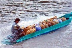 Triệt phá tận gốc các đường dây buôn lậu xăng dầu trên biển