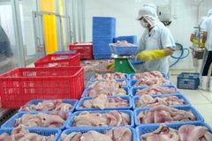 Chế biến cá da trơn xuất khẩu. (Ảnh: Minh Trí/TTXVN)