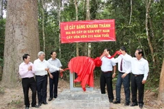 Khánh thành bia công nhận Cây Vên Vên 215 năm tuổi là cây Di sản Việt Nam. (Ảnh: Lê Đức Hoảnh/TTXVN)