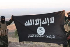 Ảnh minh họa. (Nguồn: cjad.com)