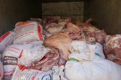 Thịt không có giấy chứng nhận kiểm dịch động vật đang được đưa lên xe tải. Ảnh minh họa. (Ảnh: Dương Chí Tưởng/TTXVN)