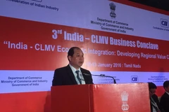 Thứ trưởng Bộ Công Thương Nguyễn Cẩm Tú phát biểu tại Hội nghị. (Ảnh: Đỗ Huy Bình/Vietnam+)