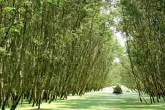 Khu du kịch sinh thái Việt-Úc. (Nguồn: dailytravelvietnam.com)