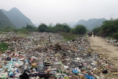 (Ảnh minh họa: Quốc Đạt/TTXVN)