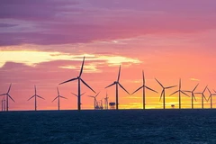 Ảnh minh họa. (Nguồn: dailymail)