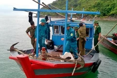 (Ảnh minh họa: Nguyễn Hoàng/TTXVN) 