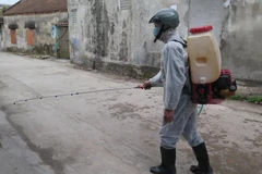 Nhân viên y tế phun thuốc khử trùng cho khu dân cư Thượng Đạt, Hải Dương - nơi có ca tử vong do não mô cầu. (Ảnh: Mạnh Minh/TTXVN)