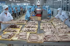 Chế biến cá ngừ đóng hộp tại Công ty KTC Food Kiên Giang. (Ảnh: Phương Vy/TTXVN)