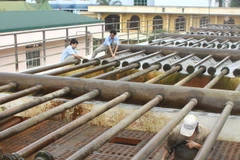 Hà Nội: Xử lý gấp nguồn nước nhiễm Asen tại khu vực Mỹ Đình