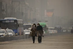 Giới trẻ Hàn Quốc: Tử vong do tự tử chiếm tỷ lệ lớn