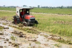 Cần tầm nhìn thống nhất trong đầu tư PPP nông nghiệp