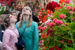 Con người có xu hướng chọn bạn có sự tương đồng về gen