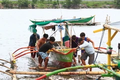 Philippines: Hàng trăm nghìn người sơ tán "trốn" bão Rammasun