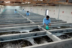 Đoàn công tác Chính phủ Australia làm việc với Ban Kinh tế TW