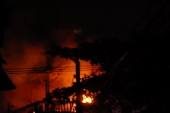 (Ảnh minh họa: Mạnh Linh/TTXVN)