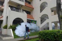 Singapore: Số người mắc sốt xuất huyết trong 1 tuần cao kỷ lục