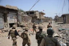 Quân đội Pakistan bắt giữ một thủ lĩnh cấp cao của Taliban