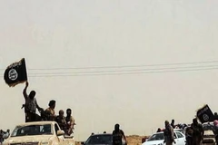 Việt Nam quan ngại trước tình trạng bạo lực gia tăng tại Iraq