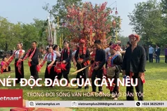 Nét độc đáo của Cây nêu trong đời sống văn hóa đồng bào dân tộc