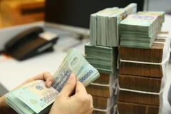 (Ảnh: PV/Vietnam+)