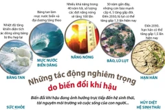 [Infographics] Những tác động nghiêm trọng do biến đổi khí hậu