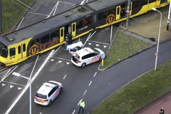 Cảnh sát điều tra tại hiện trường vụ xả súng ở 24 Oktoberplace, Utrecht, Hà Lan. (Nguồn: AFP/TTXVN)