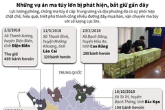 [Infographics] Những vụ án ma túy lớn bị phát hiện, bắt giữ gần đây