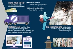 Nâng mức hỗ trợ người chăn nuôi, cấp bách khống chế dịch tả lợn