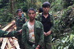 Các đối tượng khai thác gỗ trái phép bị lực lượng chức năng khống chế. (Ảnh: TTXVN phát)