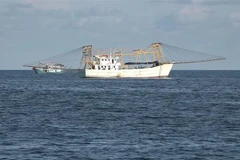 (Ảnh minh họa: Nguyễn Thanh/TTXVN)